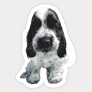 English Cocker Spaniel - Cute Blue Roan puppy dog Sticker